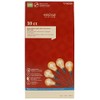 Holiday Living 10-Count, 9 Foot, 5 Function Frosted Gold Edison
