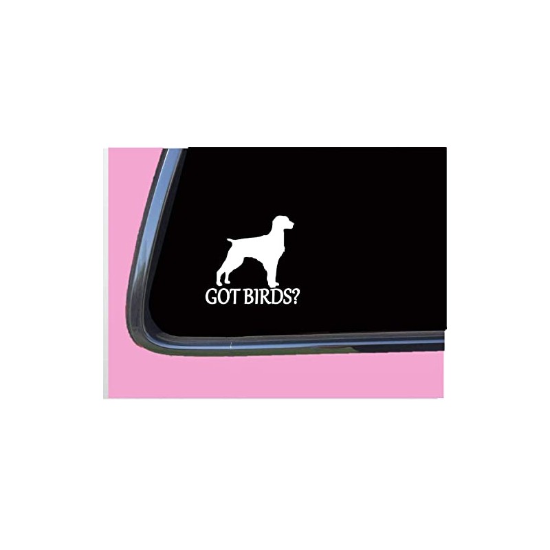 Brittany Spaniel got birds TP 1335 vinyl 6" Decal Sticker