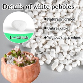AHSNYLC White Succulent Pebbles - 880G Small White Pebbles Garden Pebbles White Pebbles for Vases,Snow White Pebbles,White Stone White,Aquarium Rocks for Plants,Garden,Fish Tank,Vases, Succulents