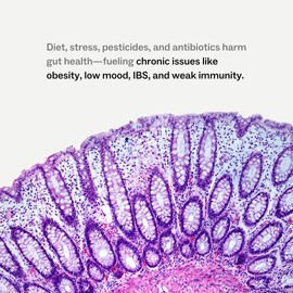 My Way Up Daily Gut Nutrition 270g