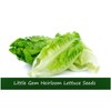 Serendipity Seeds Vegetable Seeds- Little Gem Lettuce-500 Heirloom Seeds