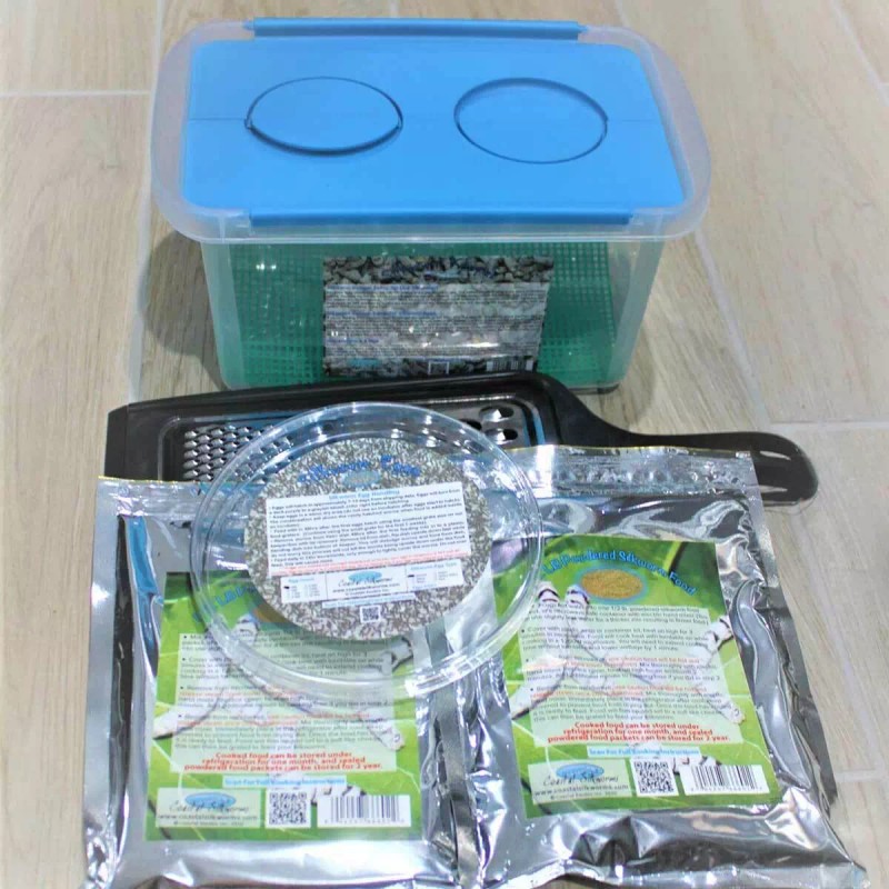 Coastal Silkworms Educational Silkworm Kit Life Science Eggs - Cocoons
