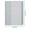 Esselte Leitz 12840000 Plastic Index 1–20 A4 Polypropylene 20 Sheets