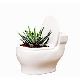 Ceramic Toilet Plant Pot/Bonsai Pot/Flower Pot/Succulent Planter(White) (4.6")