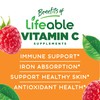 VitaWorks Lifeable Vitamin C Kids + Biotin Kids, Gummies Bundle