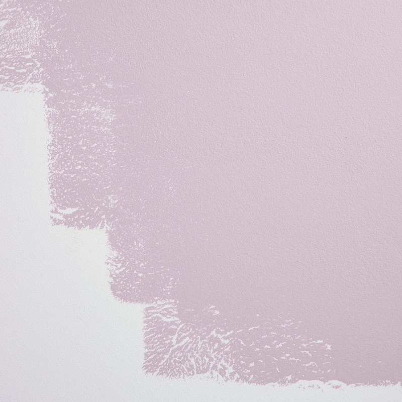 BACKDROP | Premium Interior Paint | Large Adhesive Paint Swatch