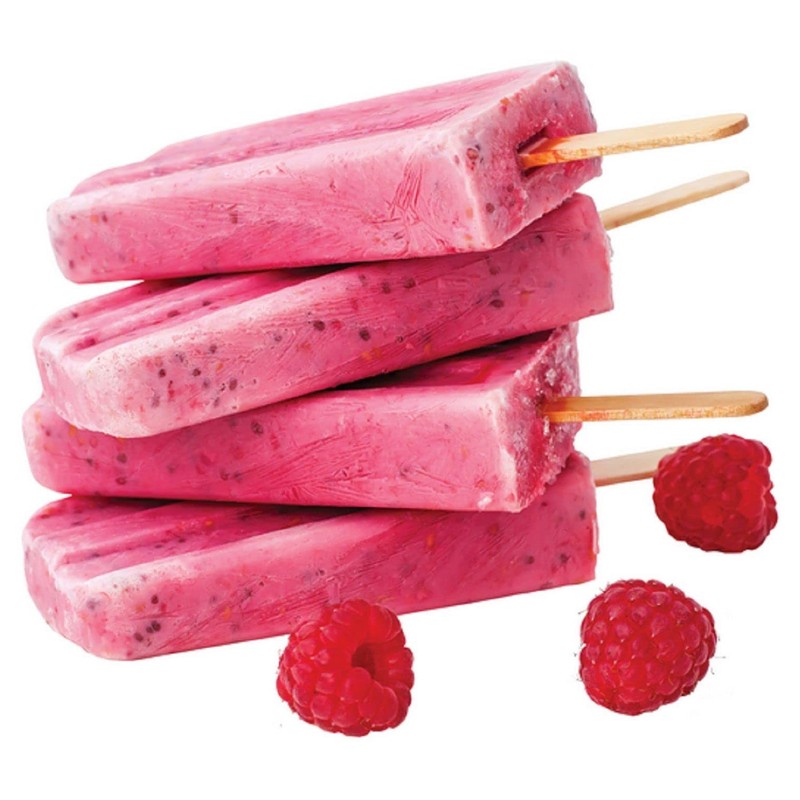 NEW APPETITO CLASSIC ICE POP MOULD SET OF 4 Iceblock