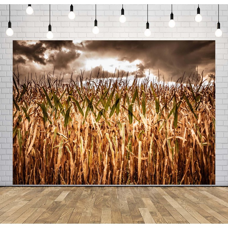 Loccor 7x5ft Fabric Spooky Corn Field Backdrop Fall Corn Field