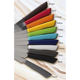 Tredoni 6 kitchen Knives - 4.3"/11cm Italian Stainless Steel Serrated Vegetable/Steak/Table Knife Cutlery, Rounded Tip (Azure)