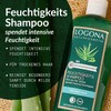 LOGONA Naturkosmetik Organic Aloe Vera Moisturising Shampoo