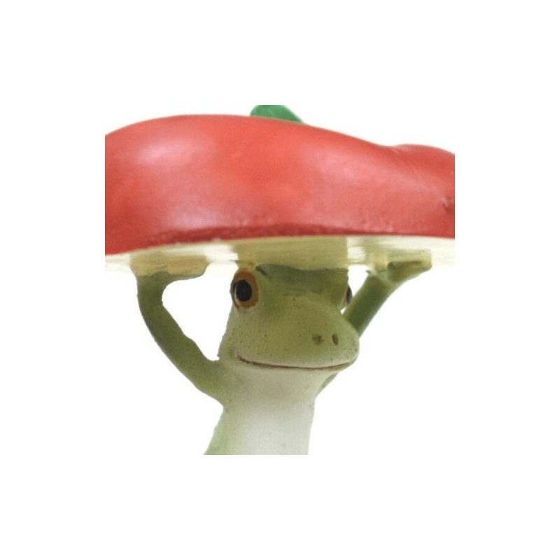 Frog from Copeau apple 70 067