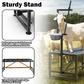 Larrik Goat Milking Stand with Feed Bin, Stand for Goat Milk and Shepp Trimming Hooves, with Adjustable Head Piece and Legs, Metal Black Use for Small Goat and Sheep, 400 Lbs