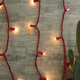 Brite Star 96-823-00 Designer Series Lights, Red Wire_Clear