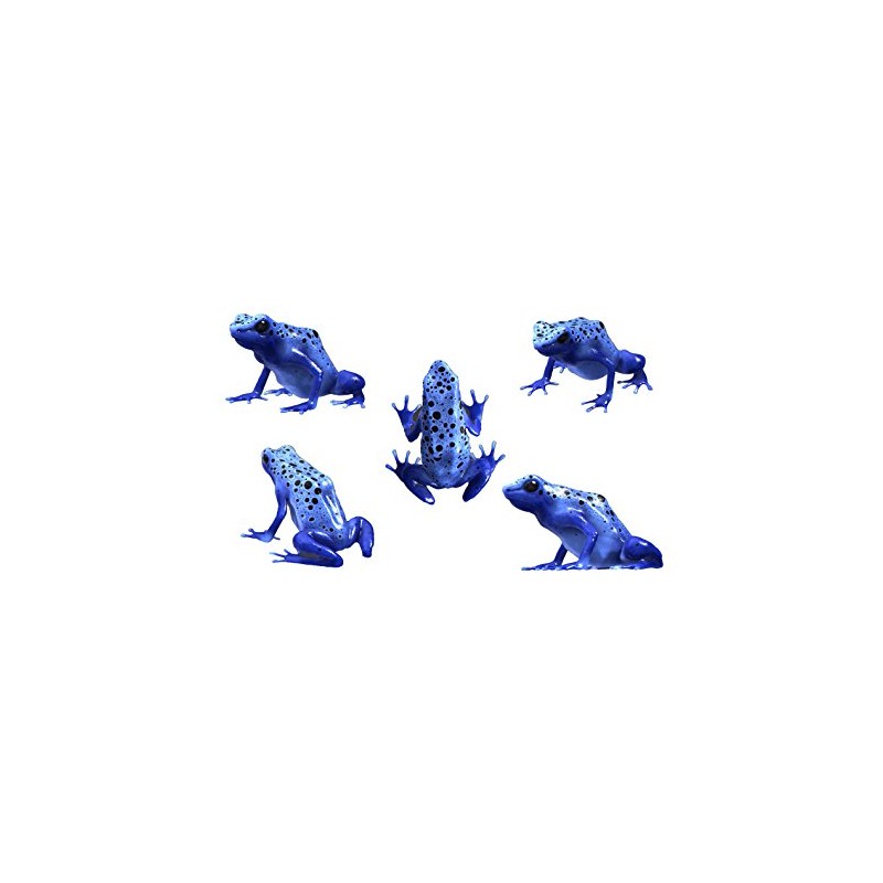 5 Blue Poison Dart Frog Decals - Sizes shown on