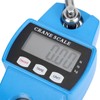 300KG Portable Mini Crane Scale Electronic Hook Hanging Weight Scale