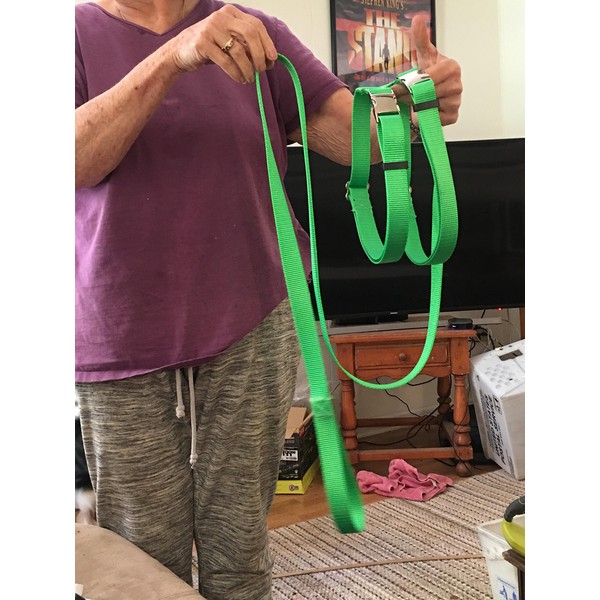 Adjustable Hog (Pig) Harness W. Leash Metal Front and Back