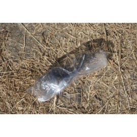 Body Guard NEW Body Guard EG2 Clear Frame Clear Anti-Scratch Lens Flexible Safety Glasses