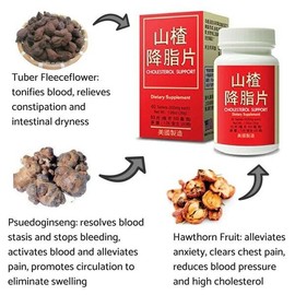 Lao Wei Cholesterol Support For Healthy Cardiovascular & Cholesterol 山楂降脂片 Made In USA