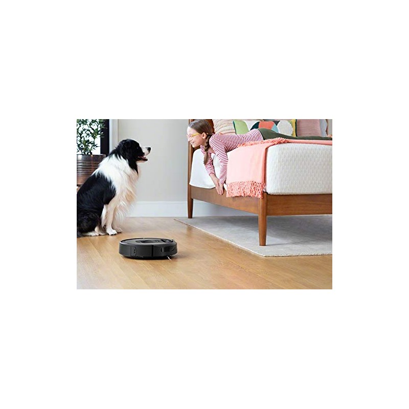 iRobot 4651374 Dust Cut Filter (3 Pieces) Compatible with Roomba