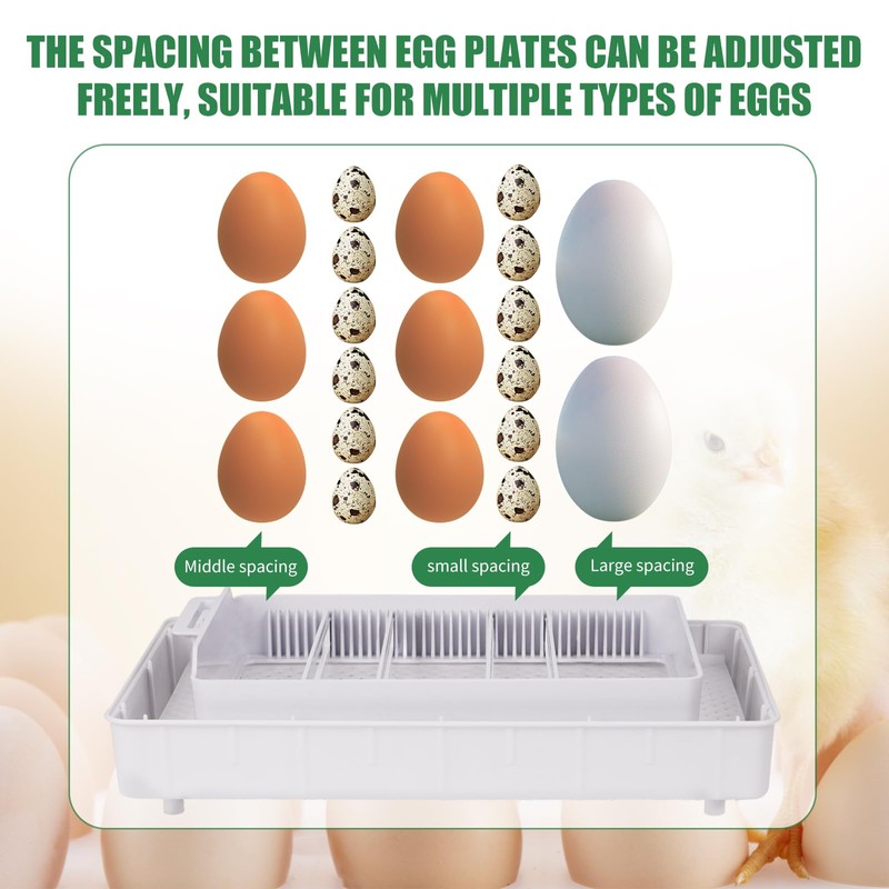 BREUAILY 15 Egg Incubator 3 In 1 Fully Automatic Poultry