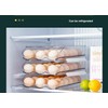NoSunset Egg Holder for Fridge, Automatic Rolling Egg Organizer for
