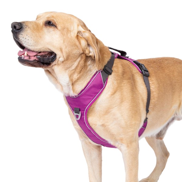 APDEXY No Pull Dog Harness with Back Control Handle for