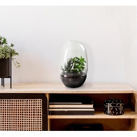 Bloomingville Large Clear Glass Terrarium