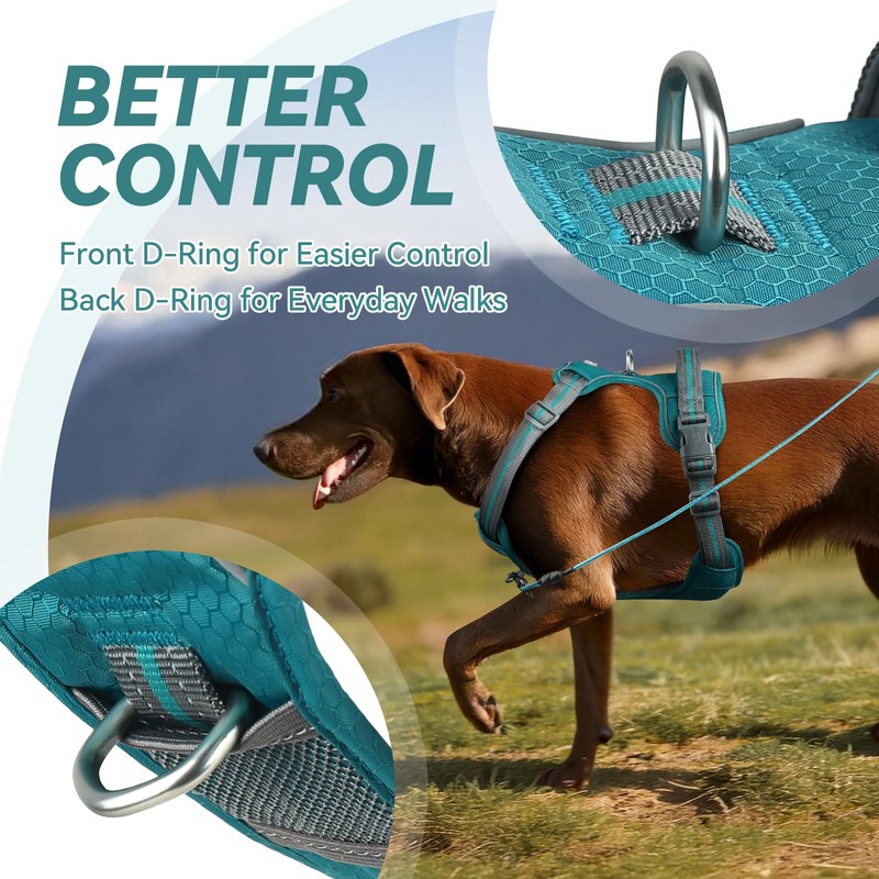 VIVAGLORY Easewalk Dog Harness, Anti-Pull Dog Harness for Training &