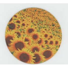 Sunflower Field - JAR OPENER -