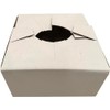 FloraStuff Flower Delivery Boxes – 8 x 8 x 4