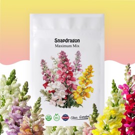 Garden Snapdragon - Maximum Mix - 10,000 Seeds - Mixed Colors, Heirloom Non-GMO USA Grown, Excellent for Pollinators, Annual - Vibrant Flowers for Any Home Garden