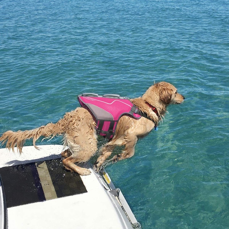 VIVAGLORY Neoprene Dog Life Jacket Dog Lifejacket for Boating Hunting