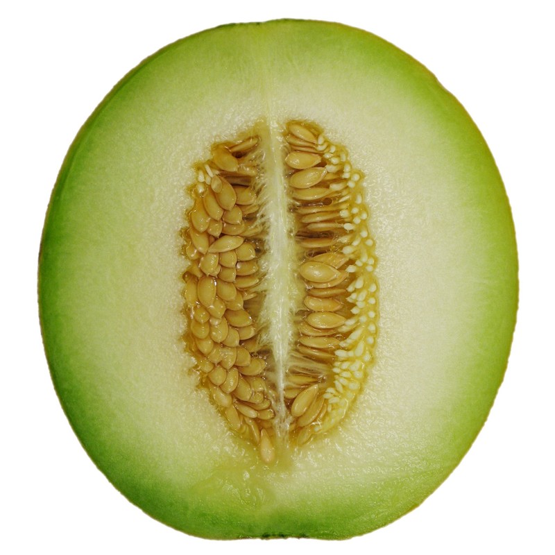 Cantaloupe Melon Honey Dew Green Flesh Great Heirloom Vegetable by