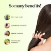 Maple Holistics Tea Tree Oil Conditioner + Color Safe Dandruff