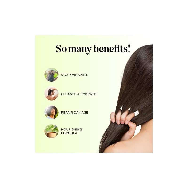 Maple Holistics Tea Tree Oil Conditioner + Color Safe Dandruff