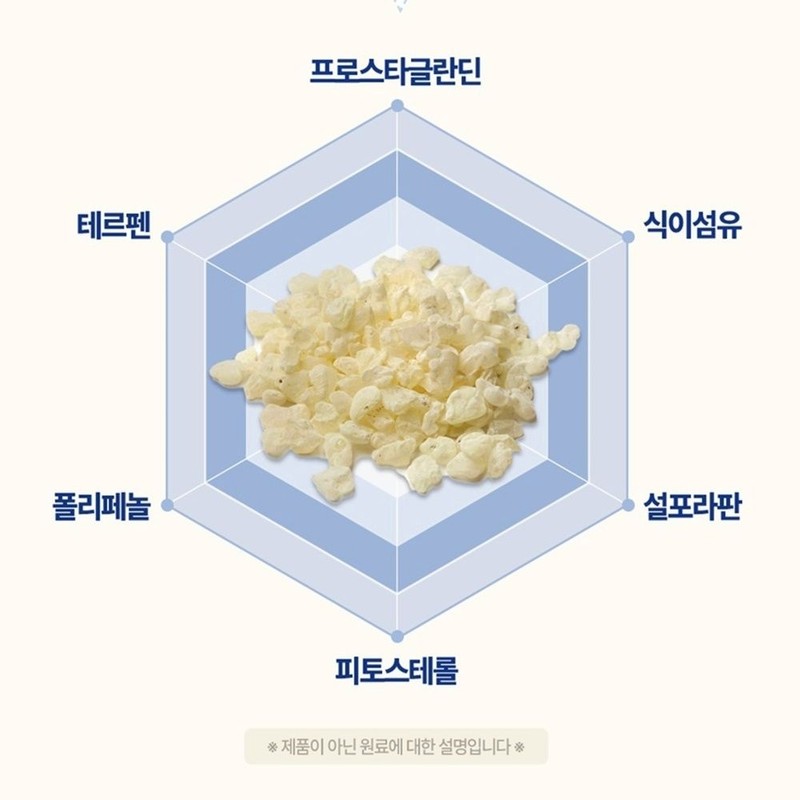 Baekse Food 프리미엄 매스틱정 위건강 위장보호 건강식품 600mg x 60정