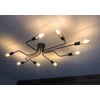 LynPon Industrial Ceiling Light Fixture Black Lighting Fixtures Metal Semi