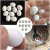 Warmhm Pack of 20 Simulation Bird Eggs 2.2 cm Small