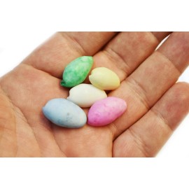 Florida Shells and Gifts 50 Mixed Color Bubble Shells 3/4" - 1" Beach Craft Colorful Party Decor Kids