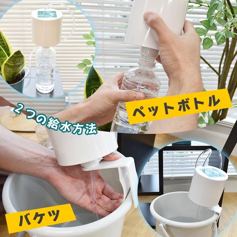 THANKO FUAUWACNA Watering "Auto Giolo"