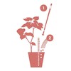 IPPINKA Sustee Aquameter, Bundle of 12, House Plant Soil Moisture