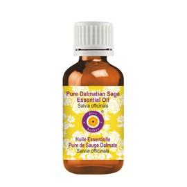 Deve Herbes Pure Dalmatian Sage Essential Oil (Salvia officinals) Natural Therapeutic Grade Steam Distilled 2ml (0.06 oz)