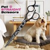JASON Professional 6 in 1 Dog Scissors Set - Thinning