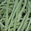 Bean Seeds - Pole - Yellow Bai Bu Lao -