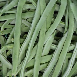 Bean Seeds - Pole - Yellow Bai Bu Lao - 20 g Packet ~60 Seeds - Non-GMO, Heirloom - Asian Garden Vegetable