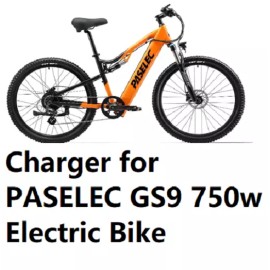 coming data ac adapter battery charger for PASELEC GS9 750w  Electric Bike