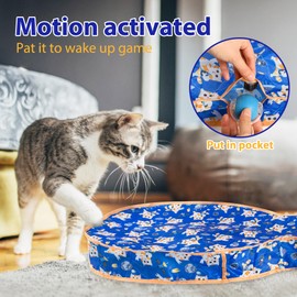 Tuiskusa Interactive Cat Toys, Fast Rolling Ball in Play Pocket, Automatic Motion Activated Moving Ball Hide and Seek Mouse Catching Game (Blue)