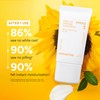 innisfree Brighten + Protect Set, Skincare Set with Korean Sunscreen