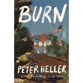 Burn: A novel