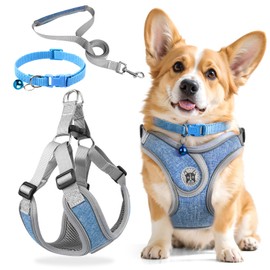 3-Piece Dog Harness and Lead Set, Adjustable Chest Harness, Reflective Breathable Dog Harness with D-Ring, Dog Harness Set for Puppies, Small Dogs